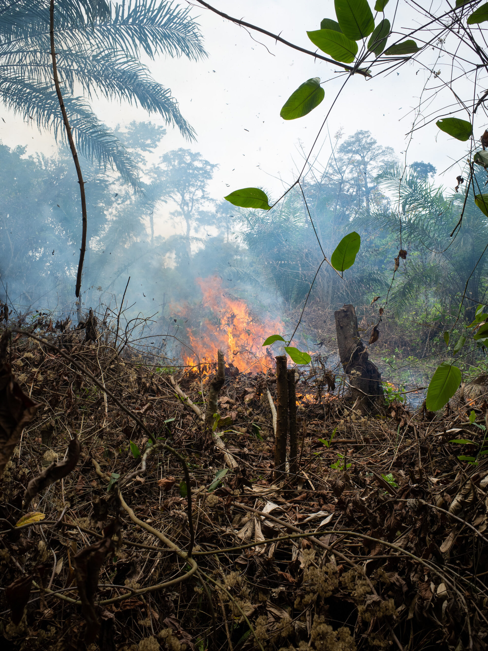 mbote-papa-ottobre-2022-congo-africa-18