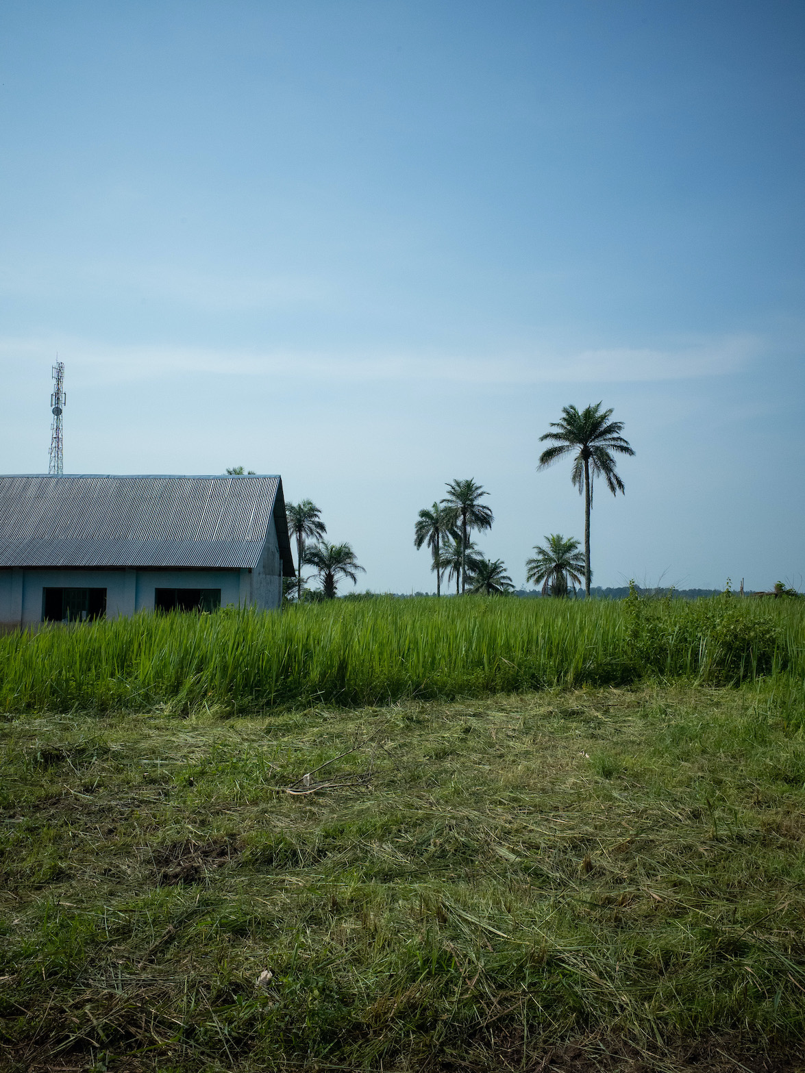 mbote-papa-ottobre-2022-congo-africa-45