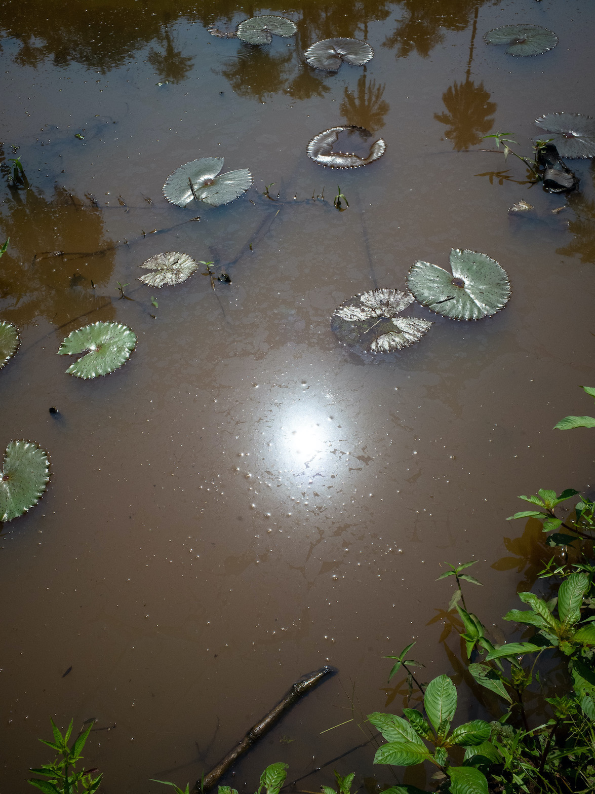 mbote-papa-ottobre-2022-congo-africa-48