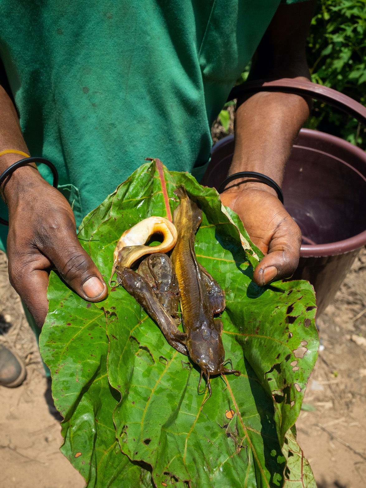mbote-papa-ottobre-2022-congo-africa-52